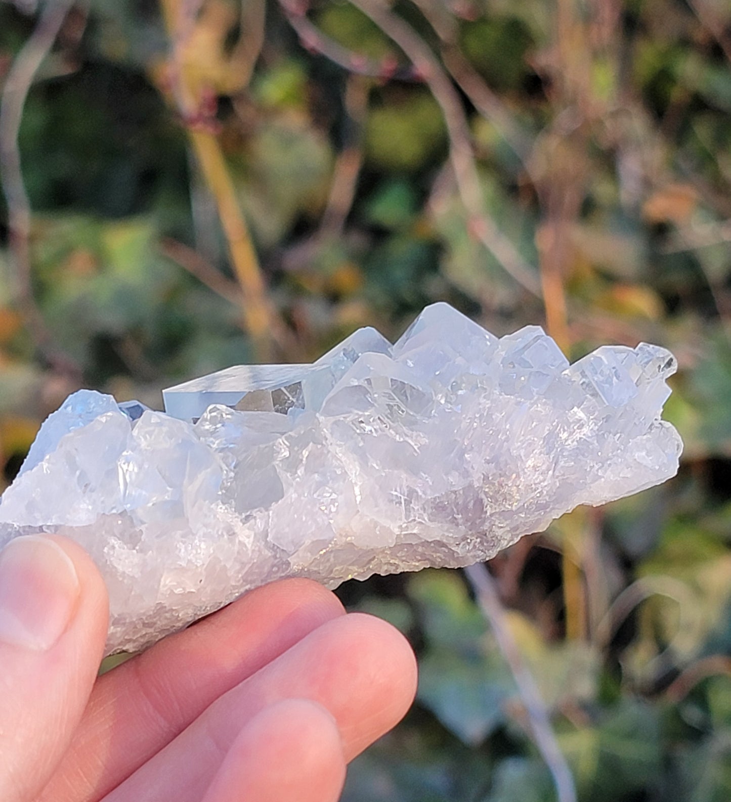 Colorless Cubic Fluorite Specimen