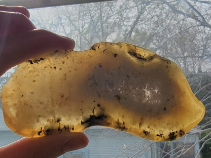 Dendritic Agate slab