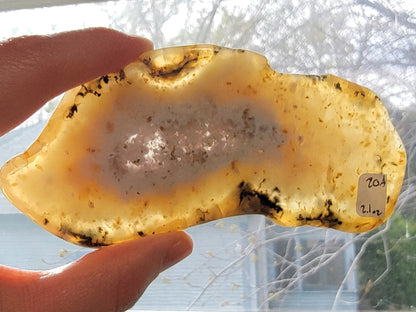 Dendritic Agate slab