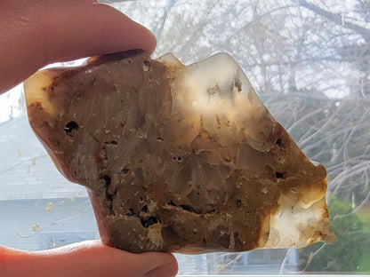 Dendritic Agate slab