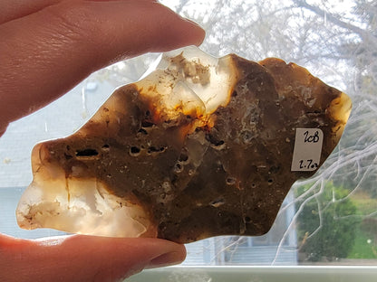 Dendritic Agate slab