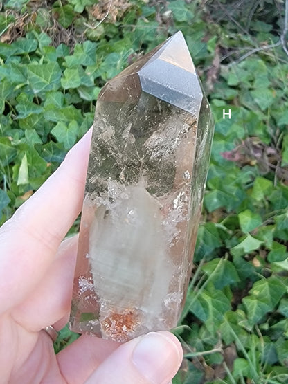 Smokey Garden Quartz Freeforms