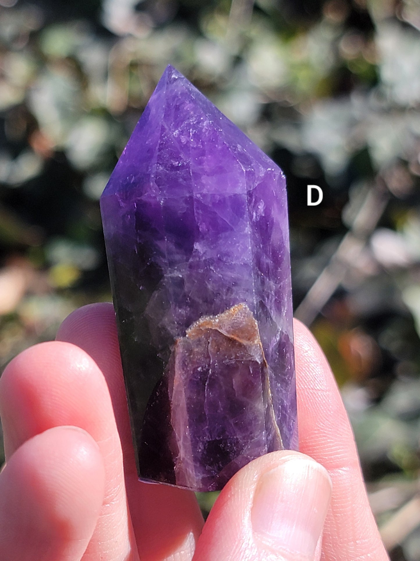 Dream Amethyst Points