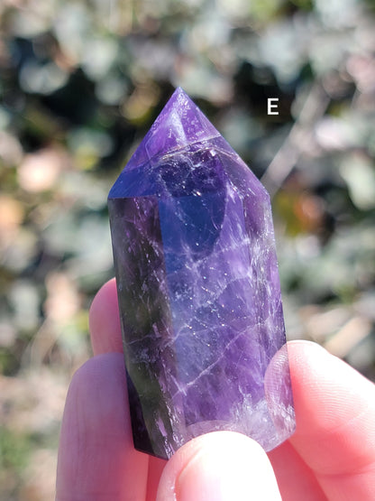 Dream Amethyst Points