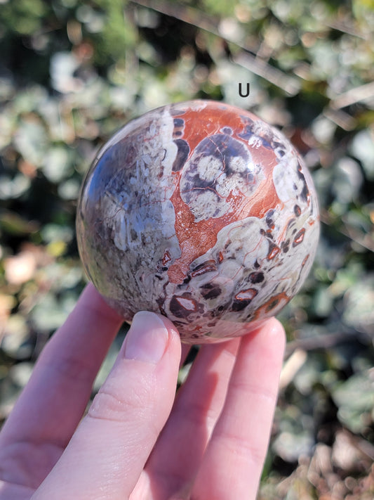 Money Agate Sphere