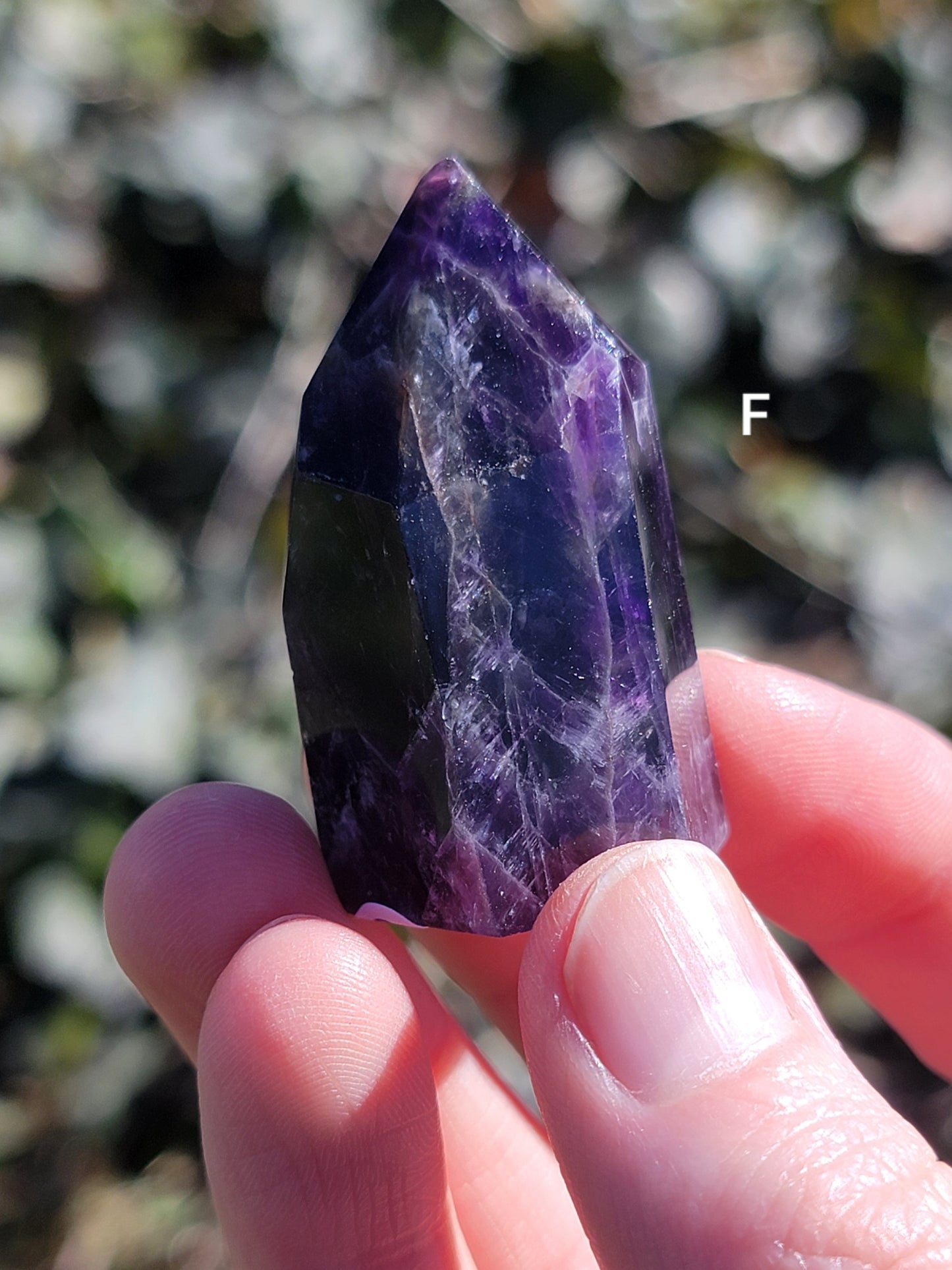 Dream Amethyst Points