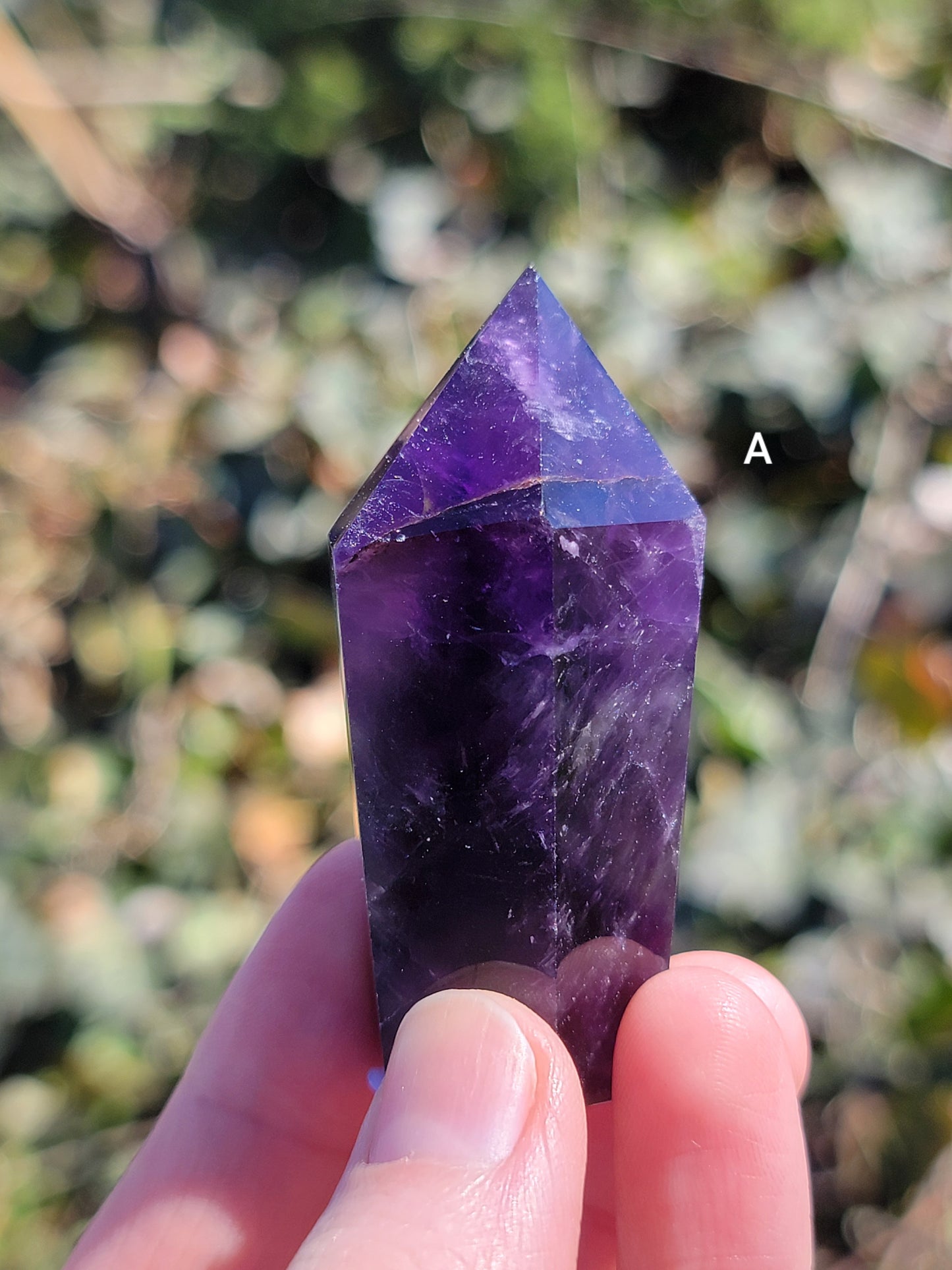 Dream Amethyst Points