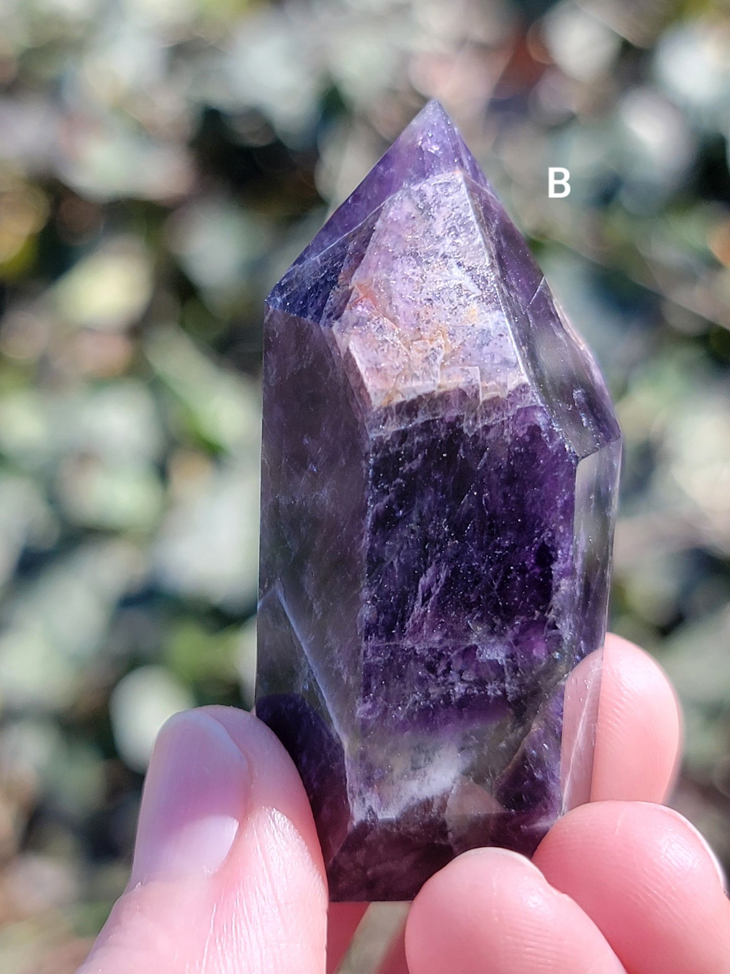 Dream Amethyst Points