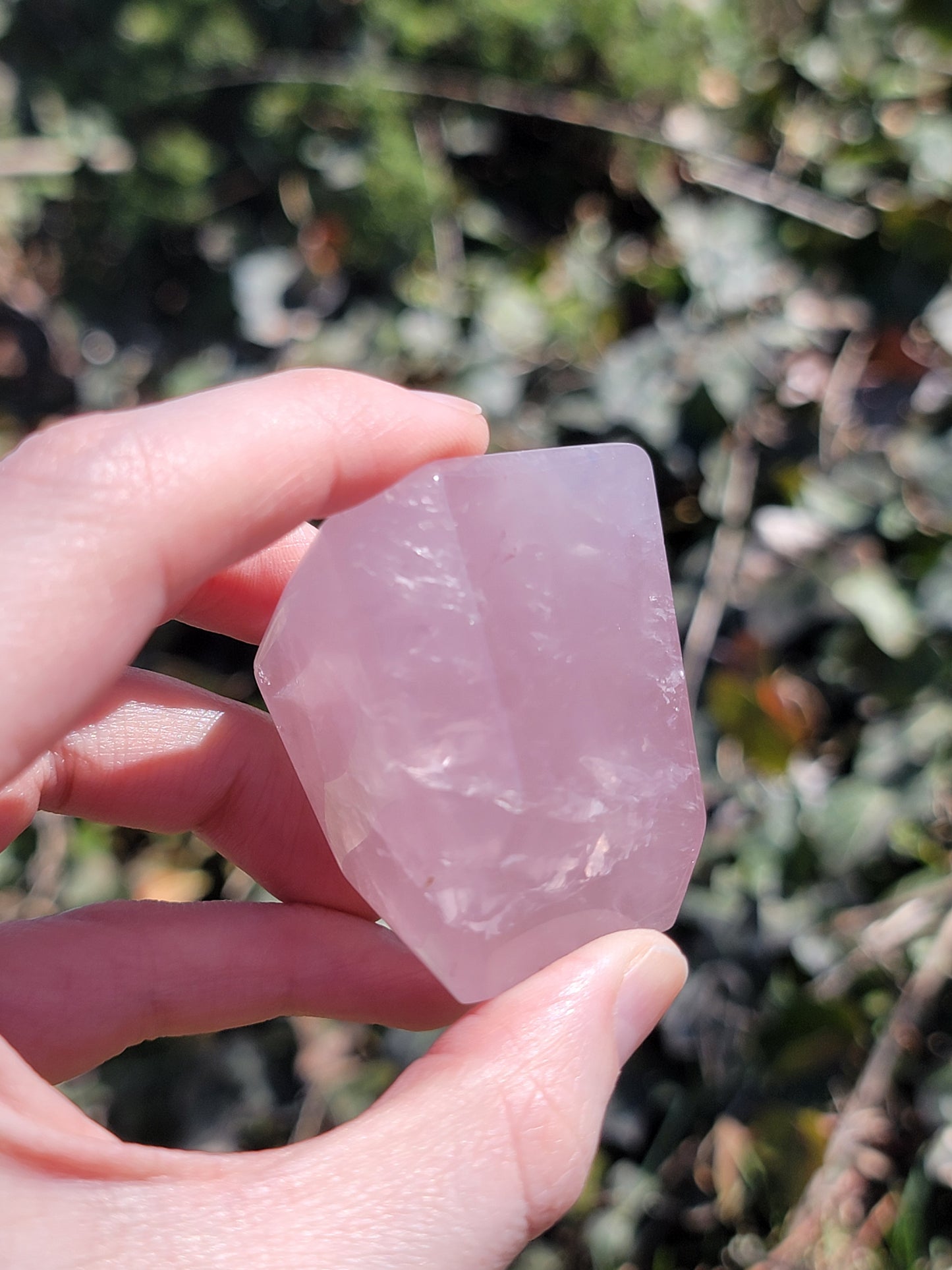 Rose Quartz Freeform