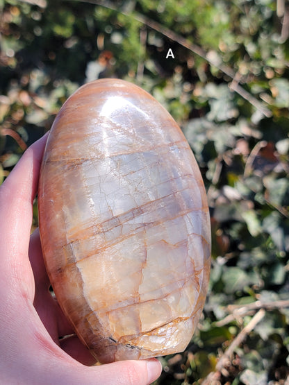 Peach Moonstone Freeforms