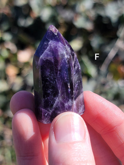 Dream Amethyst Points