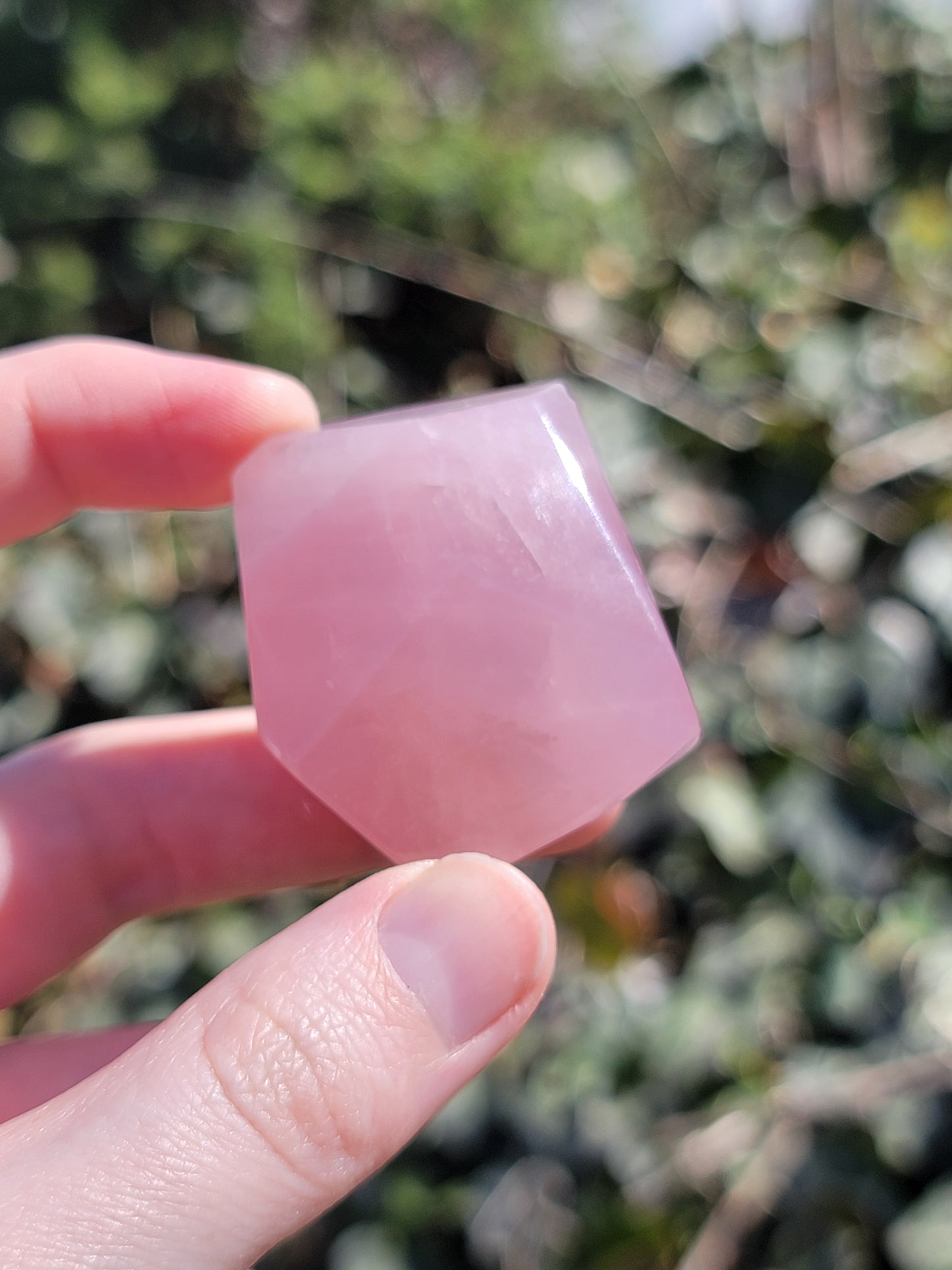 Rose Quartz Freeform